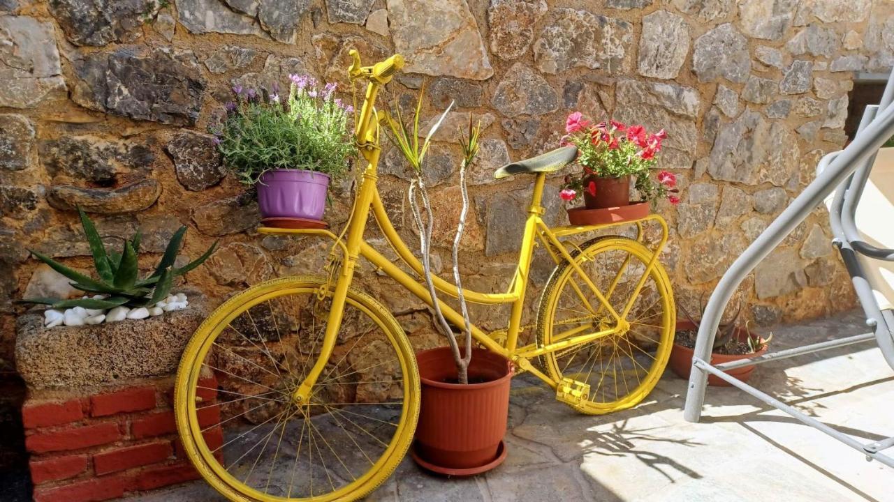 Apartment Rafaelhouse Chania (Crete)